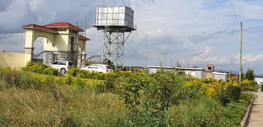 Prime, Value Added Gated Plots.