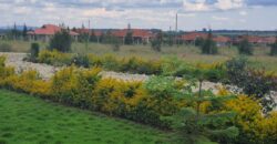 Prime, Value Added Gated Plots.