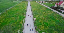 Prime, Value Added Gated Plots.