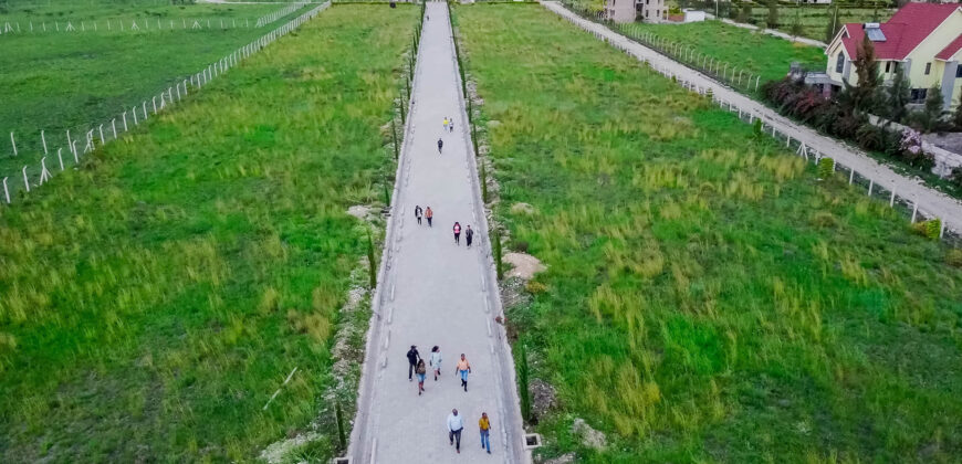 Prime, Value Added Gated Plots.