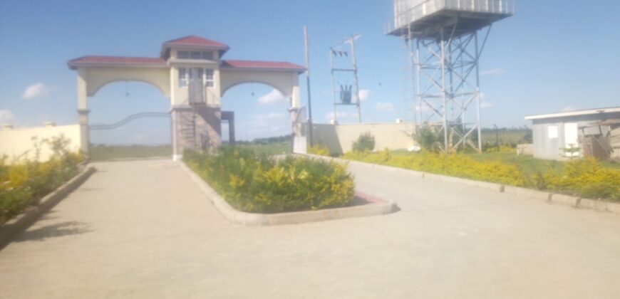 Prime, Value Added Gated Plots.
