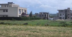 Prime, Value Added Gated Plots.