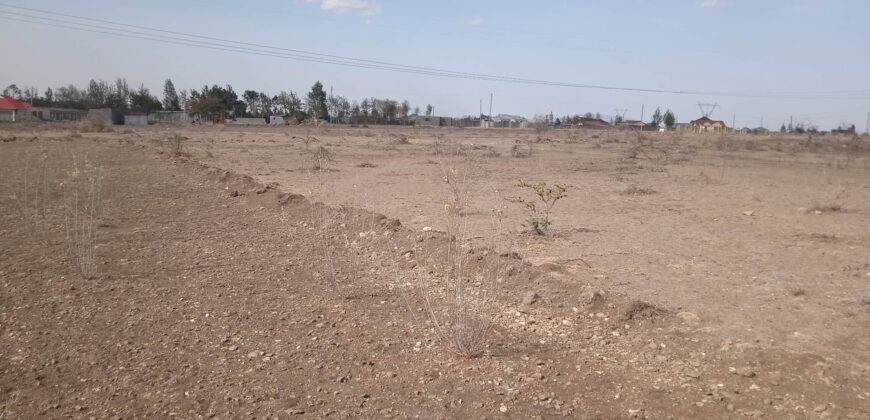 Pioneer Gardens-Joska