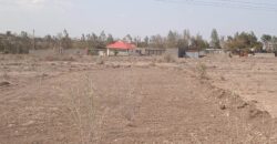 Pioneer Gardens-Joska