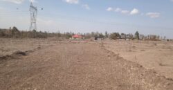 Pioneer Gardens-Joska