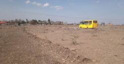 Pioneer Gardens-Joska