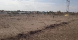 Pioneer Gardens-Joska