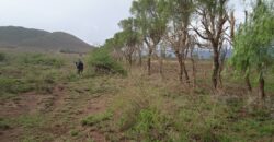 Prime, Affordable 10 Acres at Mai Mahiu.