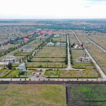 Prime, Value Added Gated Plots.