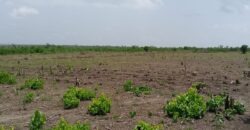 Affordable 30 Acres Blocks.