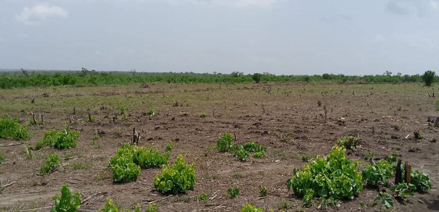 Affordable 30 Acres Blocks.