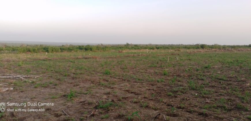 Affordable 30 Acres Blocks.