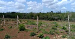 Oceanview Paradise Gardens-Malindi