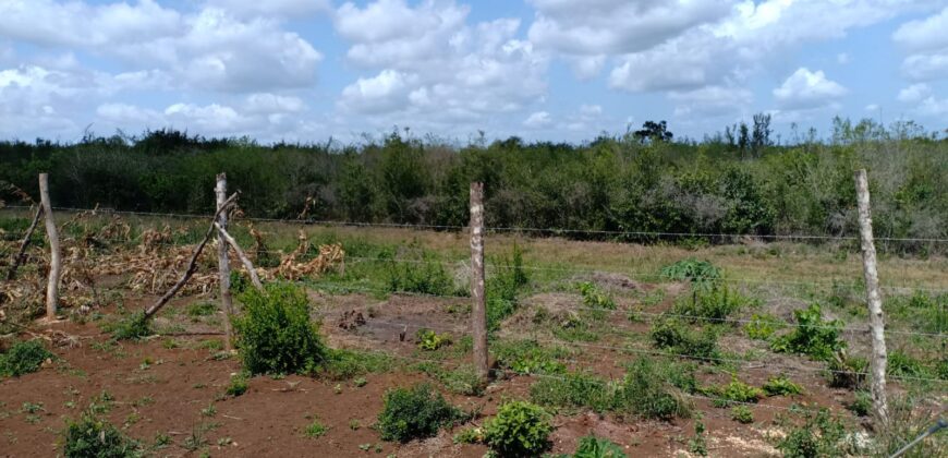 Oceanview Paradise Gardens-Malindi
