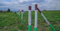 Affordable Plots-Ruiru East Mwalimu Farm