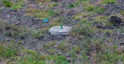 Affordable Plots-Ruiru East Mwalimu Farm