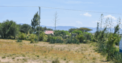 Affordable Plots at Malaa