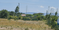 Affordable Plots at Malaa