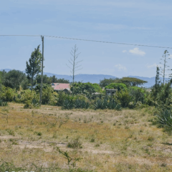 Affordable Plots at Malaa