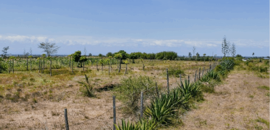 Affordable Plots at Malaa