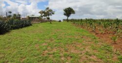 Oceanview Paradise Gardens-Malindi