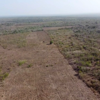 Affordable 30-Acre Virgin Land for Farming