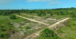 Prime Affordable Plots at Diani.