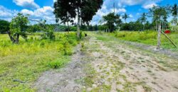 Prime Affordable Plots at Diani.