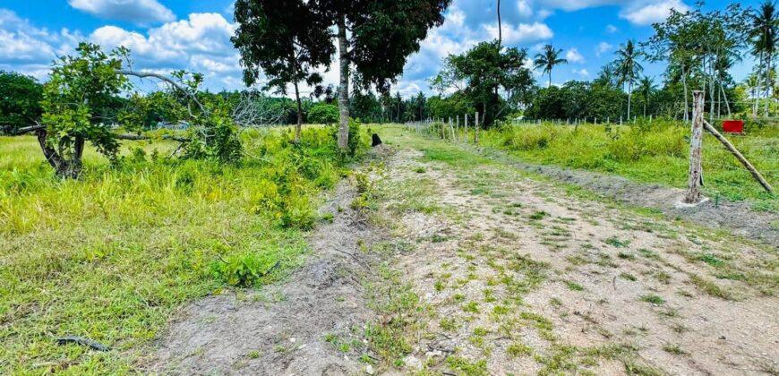 Prime Affordable Plots at Diani.